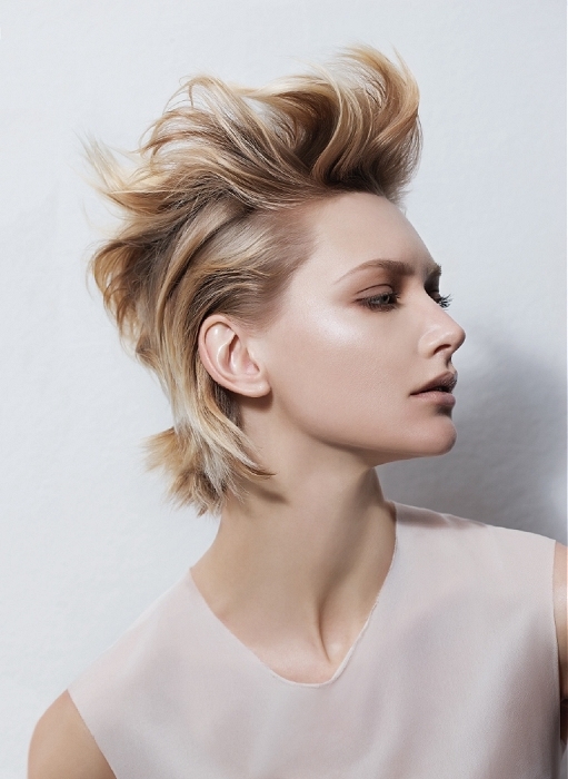 2021 Best Party Hairstyles For Short Haircuts Page 2 2021 Haircuts Hairstyles And Hair Colors