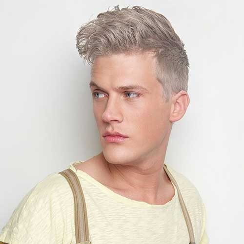 mens Grey Hair Color hair Shade